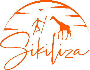 My Website